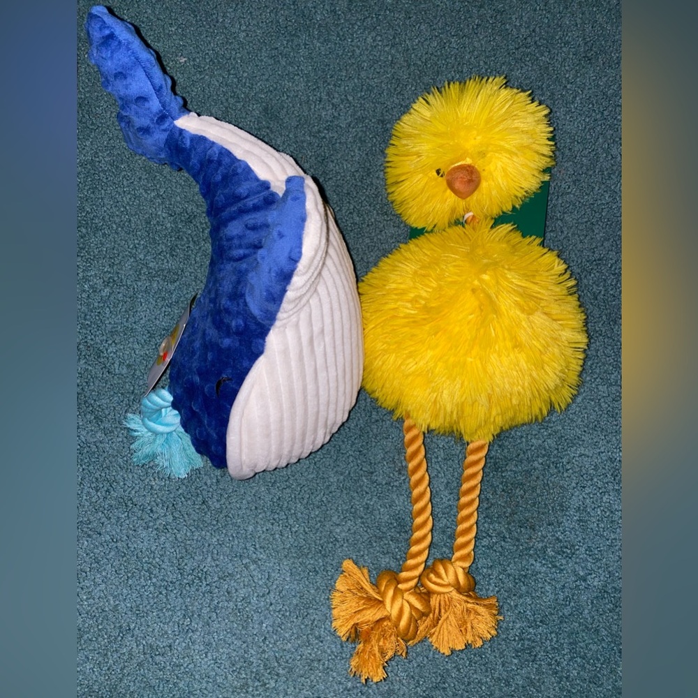 Dog Toy Lot!